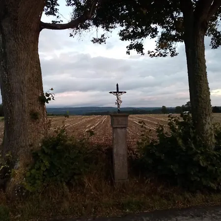 Feel At In Warre, 2*
