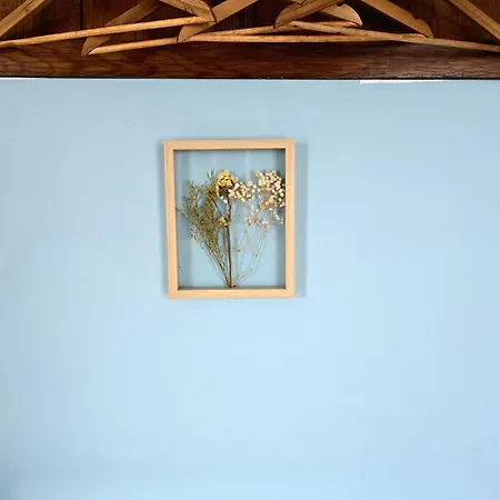 Feel At In Warre, B&B